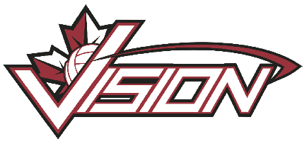 Vision Volleyball logo